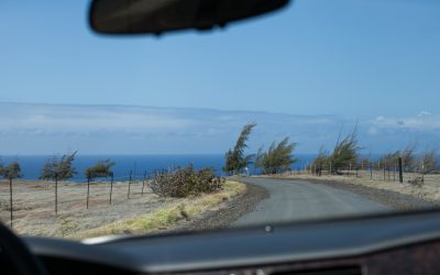 The Big Island, Part 5
