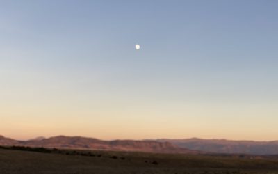 A Long Drive South